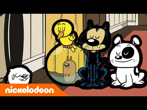 Мой шумный дом | Новый питомец | Nickelodeon Россия