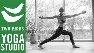 60 Minute Vinyasa Flow for Strength and Flexibility  Day 26 Challenge