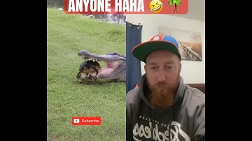 TURTLE 🐢 SOUP 🍲 ANYONE 🌴 🩸 🤕 #shorts #viral #trending #youtubeshorts #viralvideo #funny #comedy