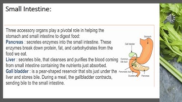 CPS  std 6  Science  L2  Video 4