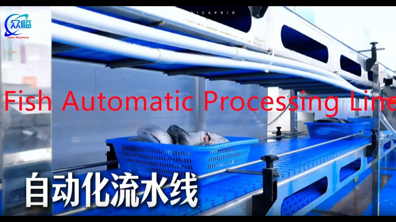 Automatic fish processing line, fish processing line, fish automatic ...