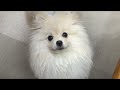 みんな元気
