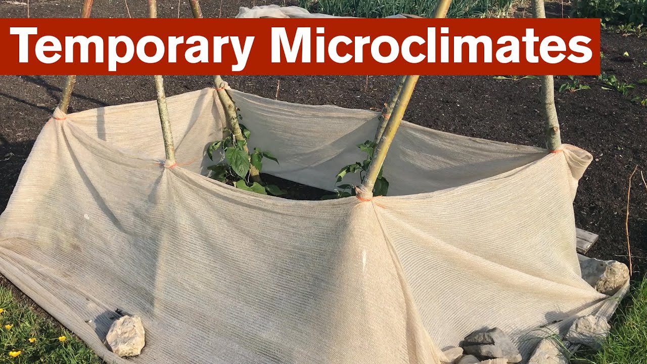 Temporary Microclimates