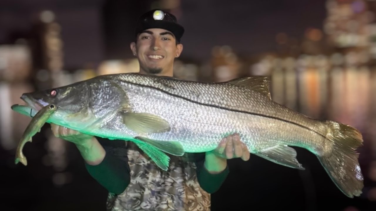 Catching giant snook at night using big swim baits (7inch ktail) - YouTube