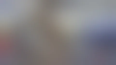 Ex Vivo Lung Perfusion in Action and by the Numbers