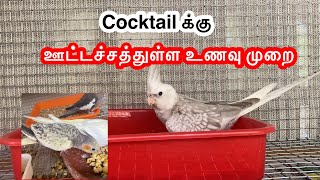 Cocktail க்கு ஊட்டச்சத்துள்ள உணவு முறை #food #cocktail #homebreed