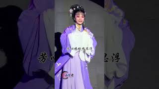Taizhou Jiaojiang Yueyi Opera Troupe's Female Inspector: A Journey into Chinese Traditiona