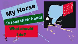 How To Bridle A Horse That Throws Its Head