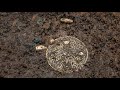 12 Most Incredible Unexpected Treasures Found Recently Mp3 Song