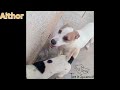 Aithor ❤️ hübsch und sozial