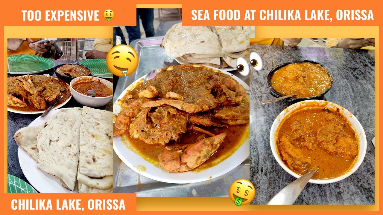 SEA FOOD AT CHILIKA LAKE, ORISSA | SEA FOOD | CHILIKA LAKE TOUR | ORISSA VLOG || MBP