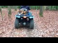 Check Out 5-Month Old Aussie/German Shepherd Mix, Amazing Video! Dog Trainers in Virginia! Check Out 5-Month Old Aussie/German Shepherd Mix, Amazing Video! Dog Trainers in Virginia!
