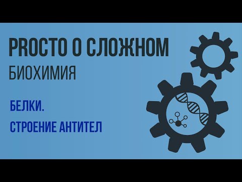 PROСТО О СЛОЖНОМ Строение антител, Биохимия №6