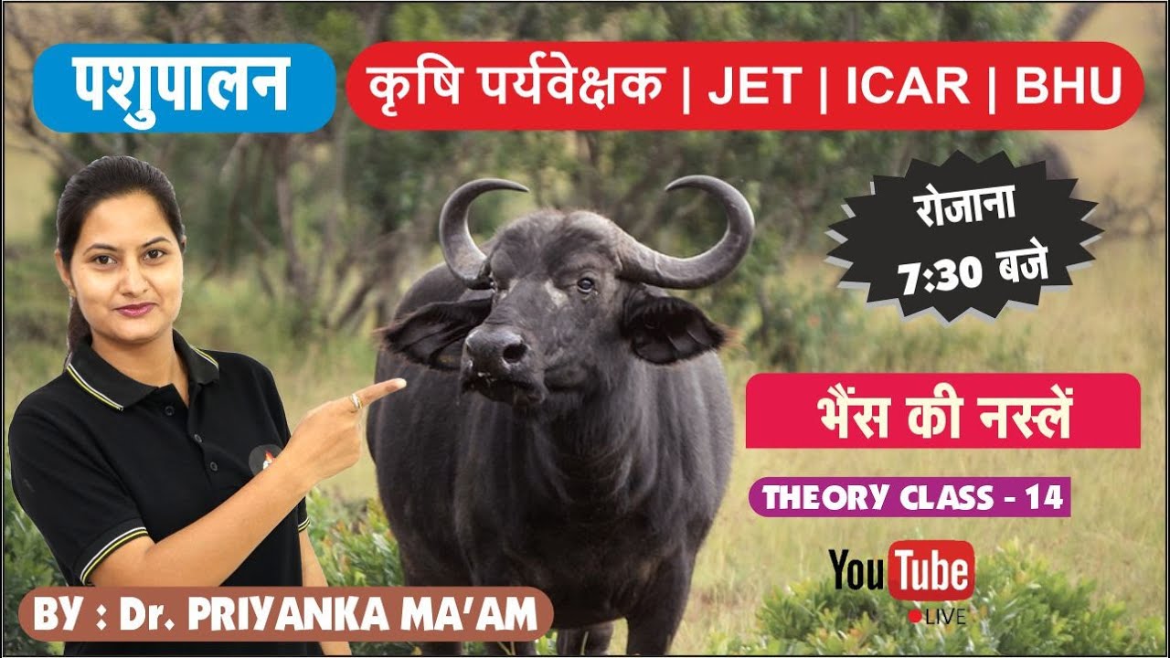 भैंस की नस्लें || पशुपालन || JET COACHING || THEORY CLASS - 14 || |Animal Husbandry Classes