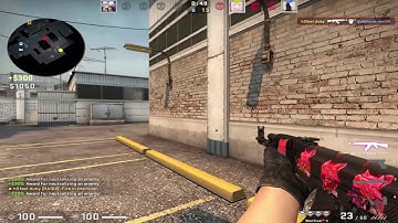 5 years of headshot only