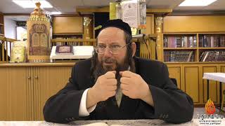 הרב אברהם יצחק כרמל-תורה ט'-שיעור 3