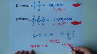 N5 Nature's Chemistry 5: The alcohols