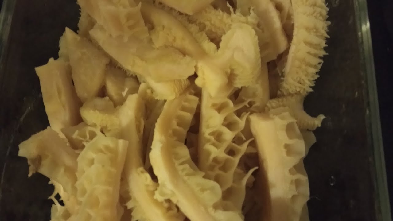 16-april-2023-beef-honeycomb-tripe-youtube