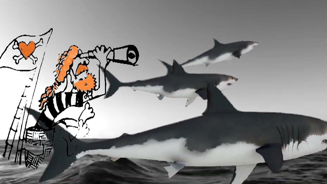 Nany Hudák - Kompas (Čsekoslovenpoľsko Tour2024)