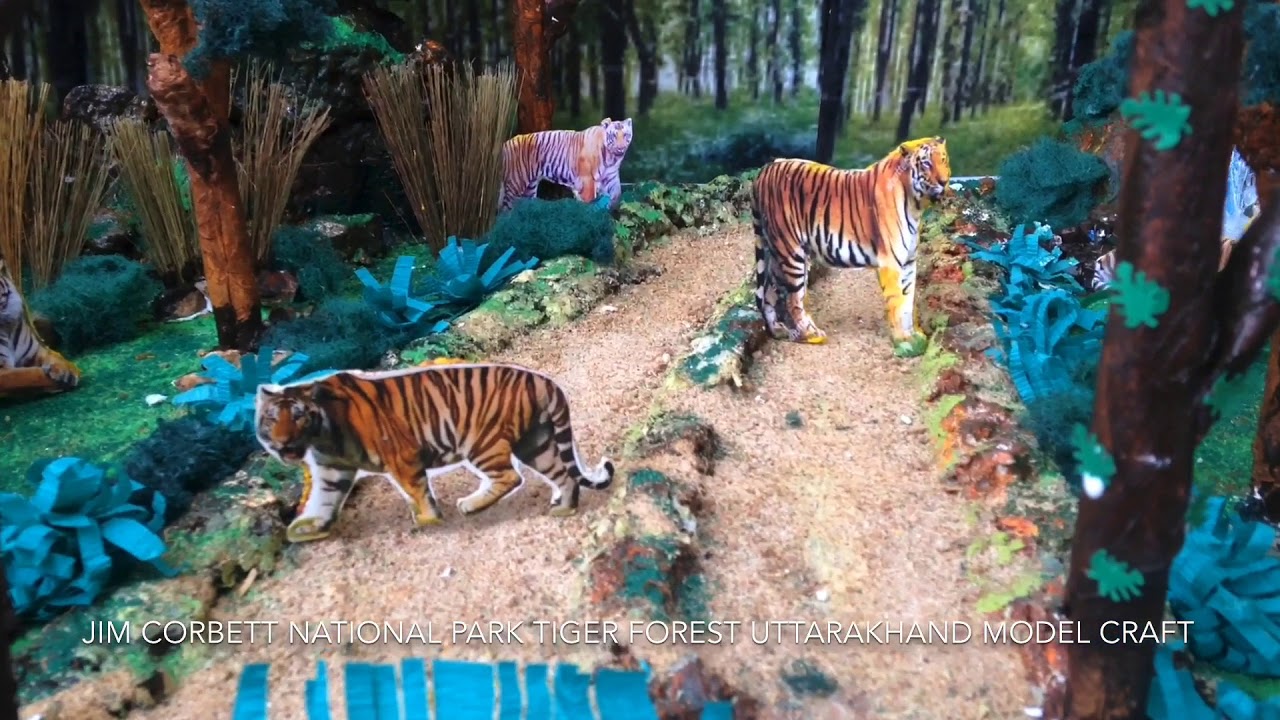 Bengal Tiger Habitat Diorama