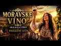Moravské Víno — Letní folklórní píseň | Poslední Stín