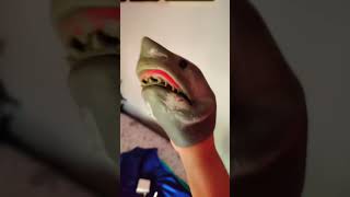 shark puppet aerials