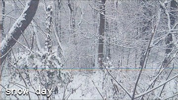S N O W  ★  D A Y