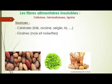 Vidéo: «Fibres Alimentaires»: Aller Au-delà De La Classification «soluble / Insoluble» Pour La Nutrition Monogastrique, En Mettant L'accent Sur Les Humains Et Les Porcs