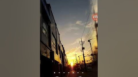 How to see any student cbse result without admit card id?? Only with roll no. a