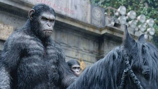 " حرب بين البشر والقرود على من سيحكم كوكب الأرض "