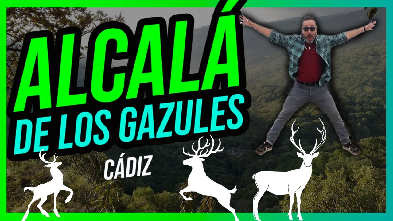 Qué ver, qué hacer y dónde comer en ALCALÁ DE LOS GAZULES