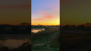 The Stillness Of Sunrise sunrise drive travel working fyp