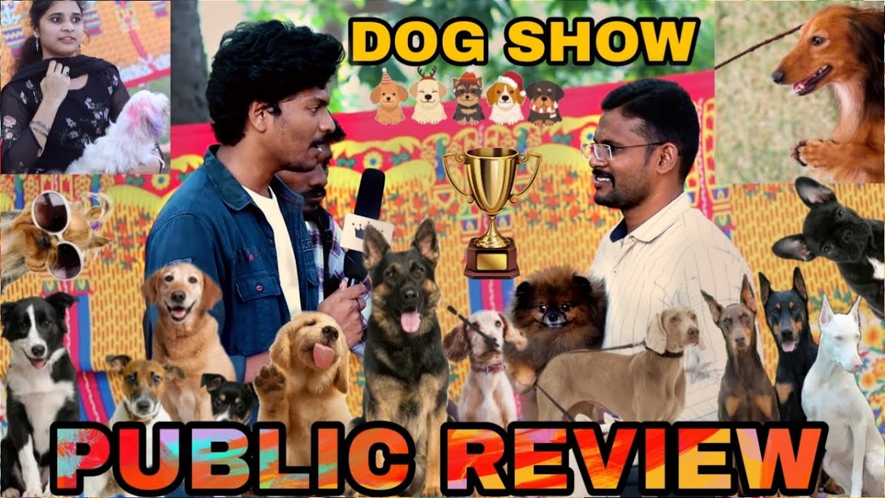 Dog show in Vizag Public review world dogs day funny boy
