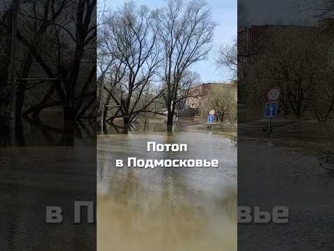 Video: Rozhayka adalah sungai di Rusia. Deskripsi, fitur, foto