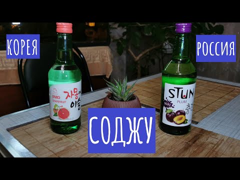 Cоджу Jinro и Stun. Что это и как пить?