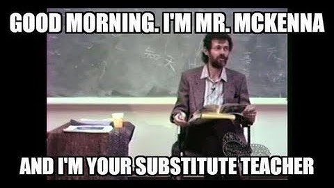 Psychedelics Before & After History (Terence Mckenna) Q&A Session