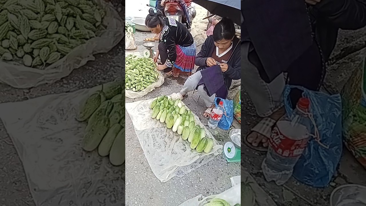 Market culture of Hmong ethnic minority women in Vietnam. 