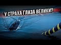 Почему НАТО опасается подводного флота России?