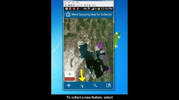 Collector App 1 (Basics)