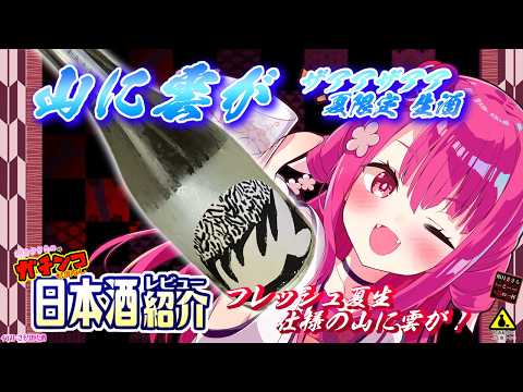 【山に雲が】如月ささらのガチンコ日本酒レビュー！【ザアアザアア 夏限定生酒】
