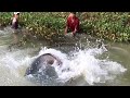 Hunting BIGGEST Dragon Fish from AMAZON River Monsters