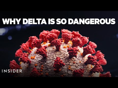 Video: Hvad rejsende bør vide om Delta-varianten