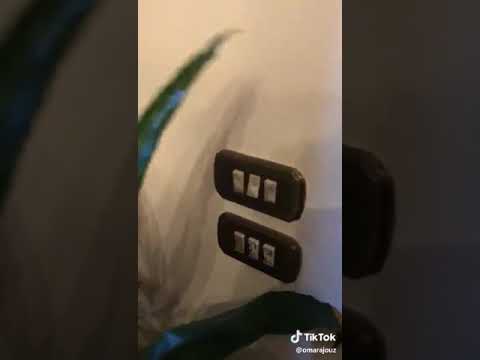 تك تك تك يام سليمان  