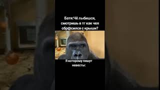 незнаю