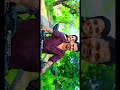 Tag uhh💍#trending #love #madurai #tamil #whatsappstatus #reels #shorts #vijay #tamilsong #tamilnadu