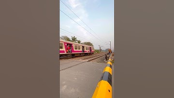 Medha Emu skip Railgate #shorts