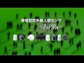 焦電型赤外線センサ PaPIRs パピルス 焦電型赤外線センサ PaPIRs パピルス