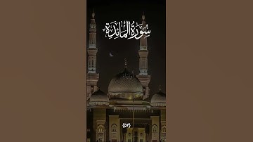 سورة المائدة آية ٥٢ #القرآن_الكريم #راحة_نفسية #quran