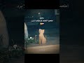 أطعموا القطط فدعاؤهم لا ي رد اقتباسات اكسبلور إنسانية رحمه قطط مؤثر ترند ريلز 