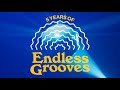5 Years of Endless Grooves